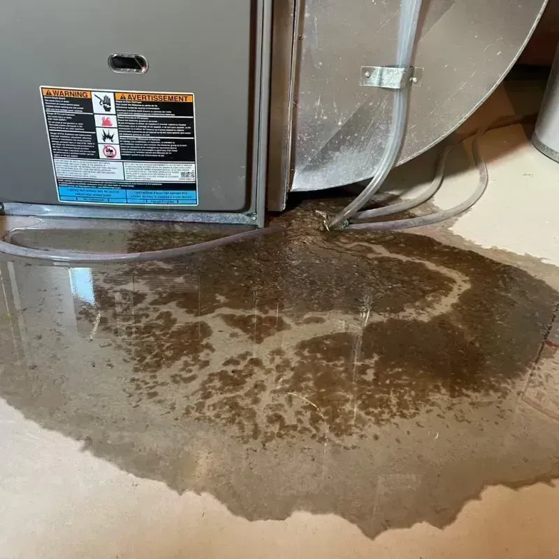 Appliance Leak Cleanup in Cherry Hills Village, CO